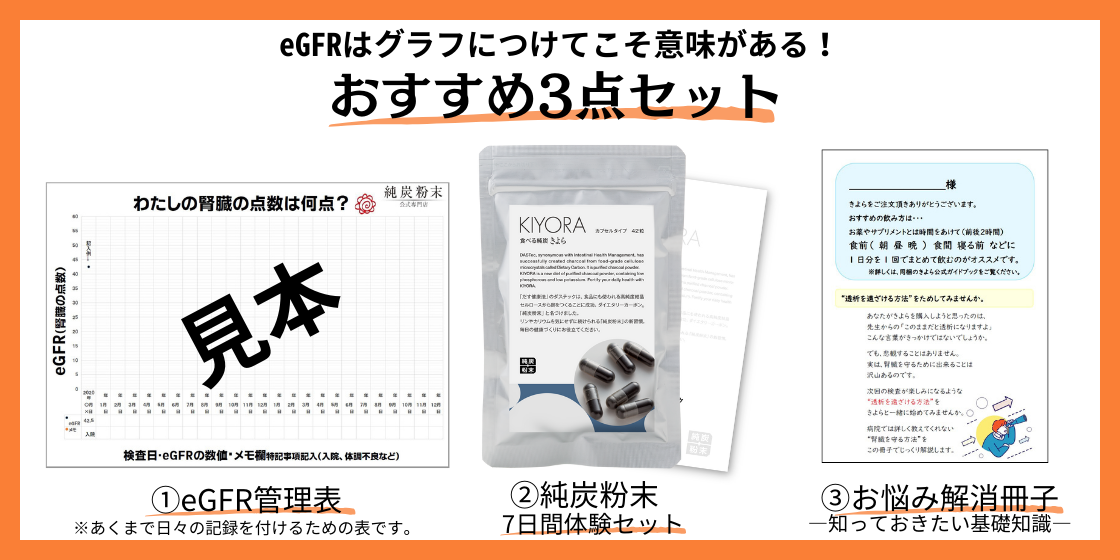 eGFR管理表付き3点セット